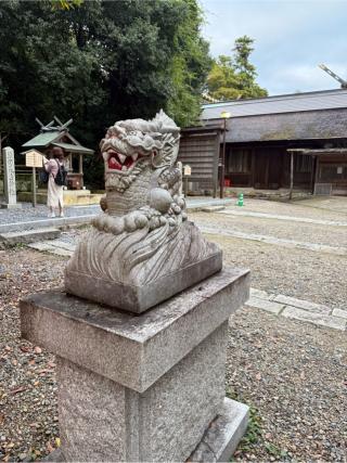 眞名井稲荷社(籠神社)の参拝記録(⛩️🎠🐢まめ🐢🎠⛩️さん)