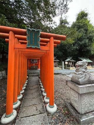 眞名井稲荷社(籠神社)の参拝記録(マ　ノ　さん)