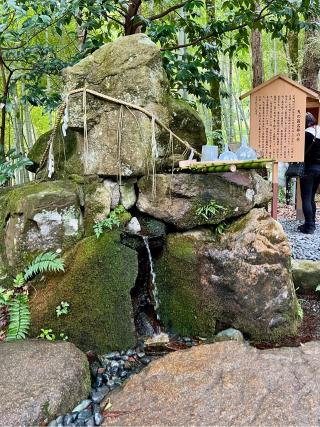 眞名井水神社(眞名井神社境内社)の参拝記録(qo_opさん)