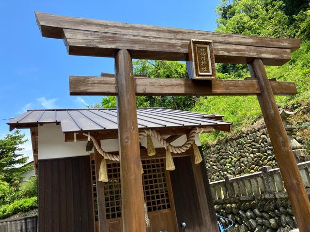 愛媛県新居浜市立川町４９６−１ 龍河神社の写真1