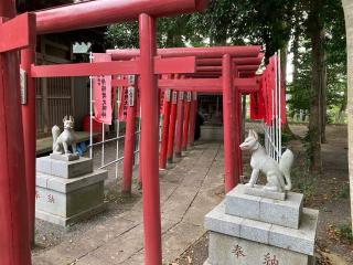 幸持稲荷大明神（鹿島神社　境内）の参拝記録(恭子さん)