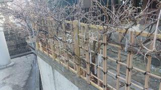 郡山市招魂社(安積國造神社境内社)の参拝記録(SFUKUさん)