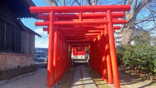 妻恋稲荷神社(愛宕神社境内社)の参拝記録(SFUKUさん)