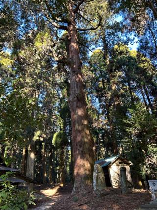 宮処野神社の参拝記録(B4-61さん)