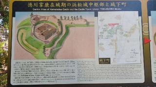 雲立楠（浜松八幡宮御神木）の参拝記録(SFUKUさん)