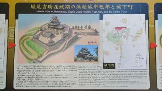 雲立楠（浜松八幡宮御神木）の参拝記録(SFUKUさん)