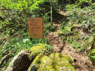 白山神社(出羽三山神社)の参拝記録(優雅さん)