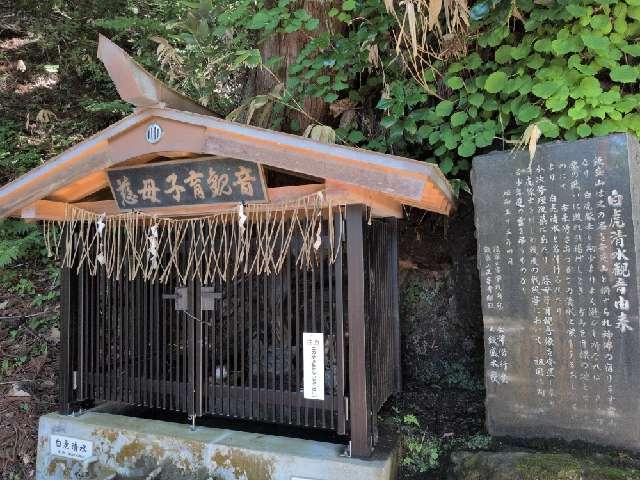 福島県会津若松市一箕町 慈母子育観音の写真2