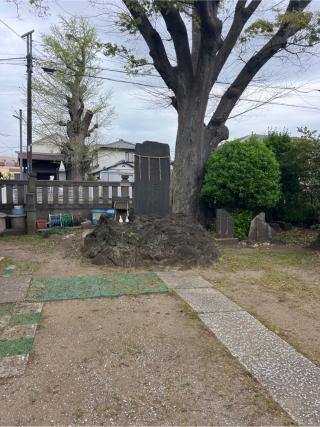 浅間大神（蘇我比哶神社境内碑）の参拝記録(⛩️🐍🐢まめ🐢🐍⛩️さん)