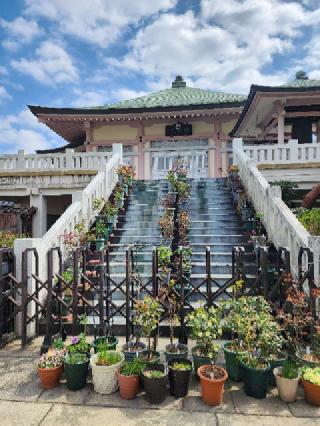 大鏡山 薬師寺 南蔵院の参拝記録(たかしさん)