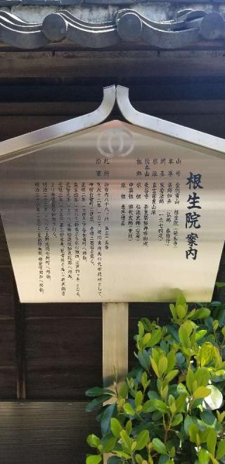 金剛寶山 延寿寺 根生院の参拝記録(どむじぃさん)