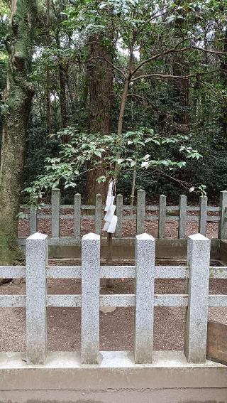 鹿島神宮要石の参拝記録(ぜんちゃんさん)