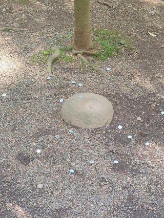 鹿島神宮要石の参拝記録(バッカラさん)