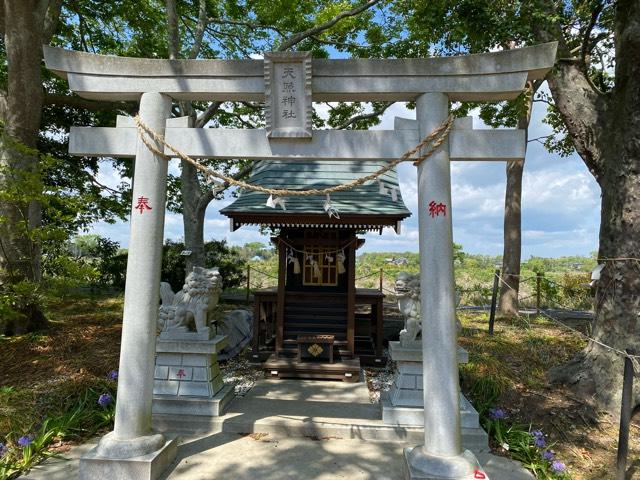 八幡神社(白子神社境内社)の参拝記録1