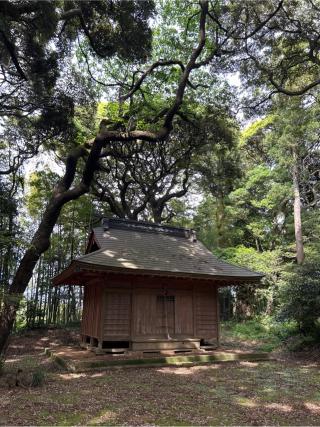 天神社の参拝記録(ねこチャリさん)