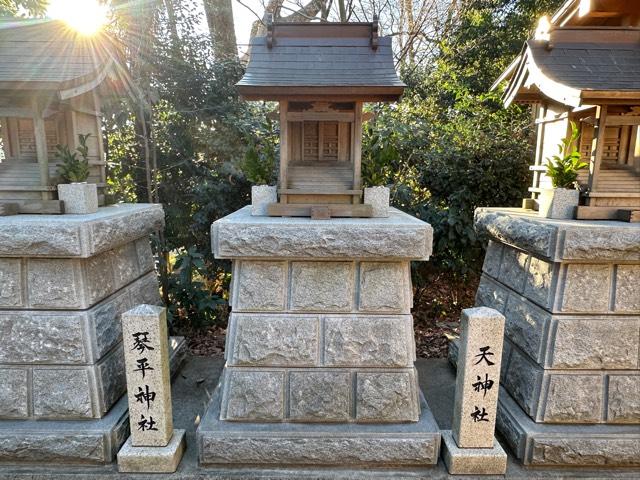 天神社（所澤神明社境内社）の参拝記録2