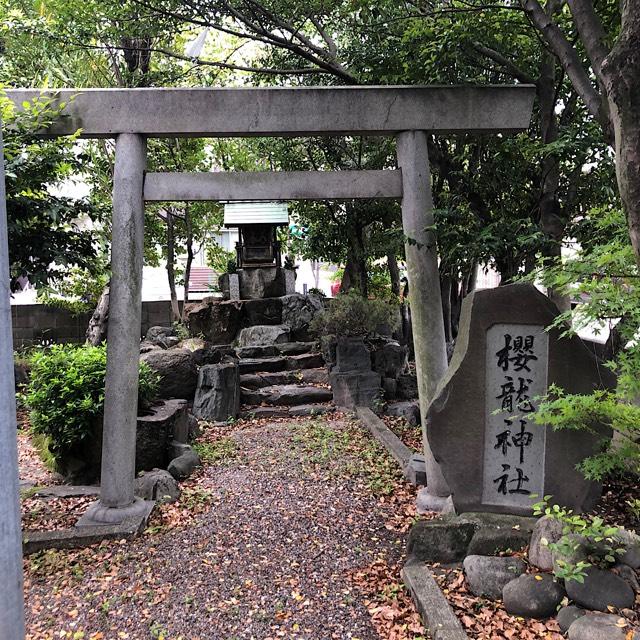 櫻龍神社（港陽八幡神社 境内社）の参拝記録(ワヲンさん)