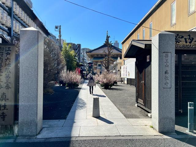 医王山  東光院 真性寺の参拝記録6