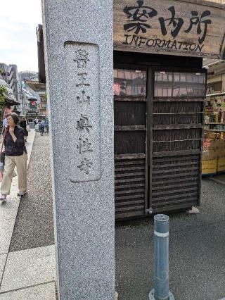 医王山  東光院 真性寺の参拝記録(はくすみさん)