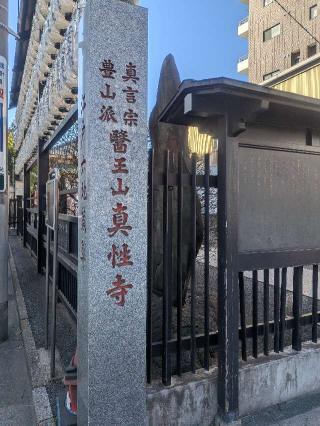 医王山  東光院 真性寺の参拝記録(はくすみさん)