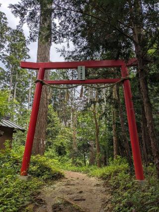大谷八幡神社の参拝記録(はしどいさん)