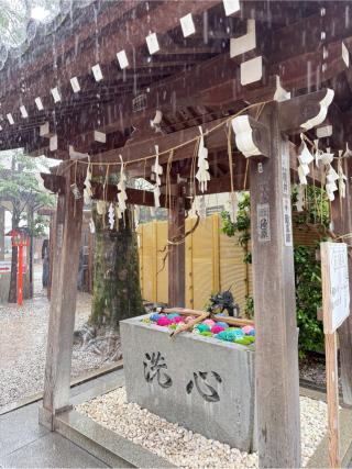 祓戸大神(蛇窪神社境内社)の参拝記録(あやさん)