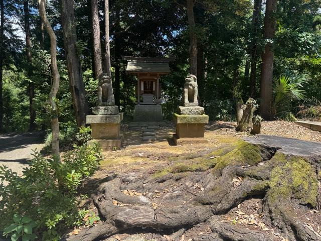 天満宮(住吉神社)の参拝記録6