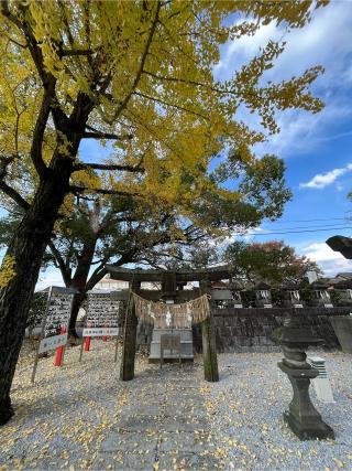 白峯神社の参拝記録(みんきちさん)