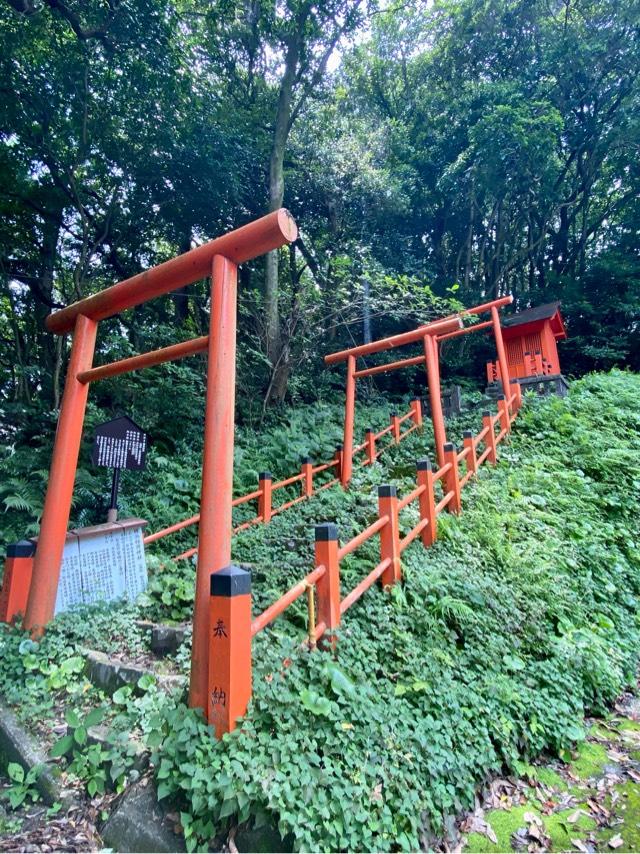 桂浜稲荷神社（龍馬稲荷神社）の参拝記録3