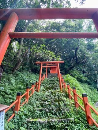 桂浜稲荷神社（龍馬稲荷神社）の参拝記録(さくらさん)