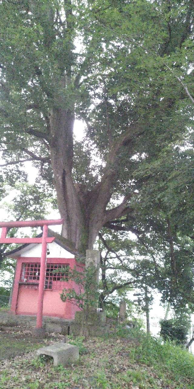 堂山稲荷神社の参拝記録(たぬきさん)