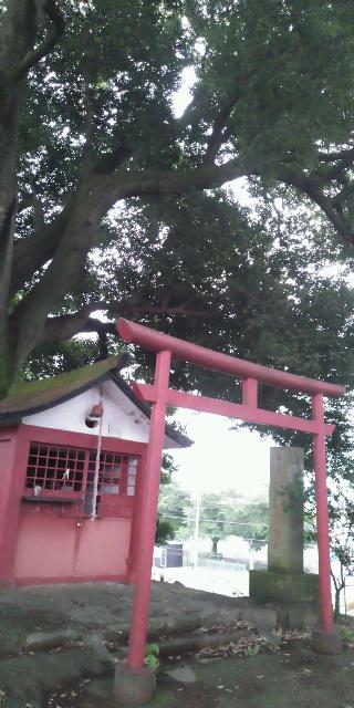 堂山稲荷神社の参拝記録(たぬきさん)