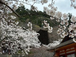 十三重塔(談山神社)の参拝記録(あきちゃんさん)
