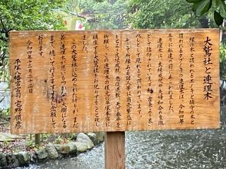 大鷲社（平塚八幡宮）の参拝記録(wednesdayさん)