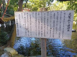 大鷲社（平塚八幡宮）の参拝記録(ひーさん)