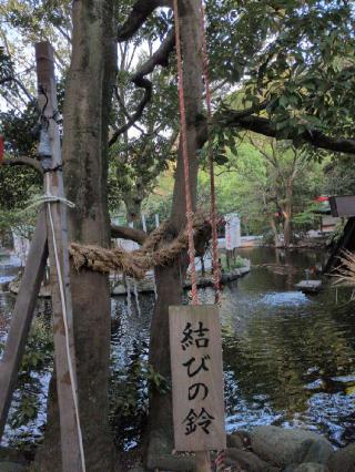大鷲社（平塚八幡宮境内社）の参拝記録(SFUKUさん)