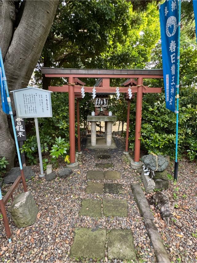 春日龍王神社（春日神社）の参拝記録2