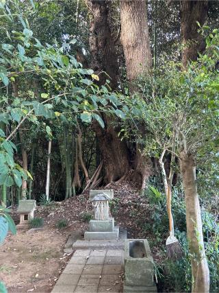 天満宮の参拝記録(ねこチャリさん)