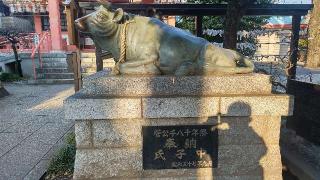 撫で牛（菅原天神境内社）の参拝記録(まっちゃんさん)