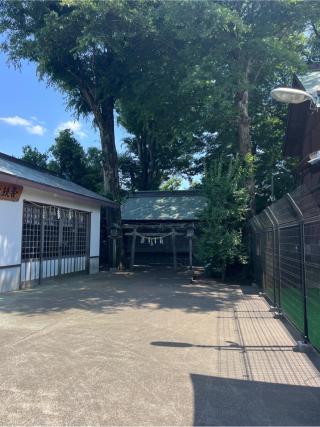 熊野宮境内社の参拝記録(⛩️🐍🐢まめ🐢🐍⛩️さん)