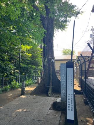 稲荷神社（熊野宮境内社）の参拝記録(⛩️🐍🐢まめ🐢🐍⛩️さん)