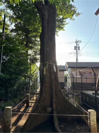 稲荷神社（熊野宮境内社）の参拝記録(⛩️🐍🐢まめ🐢🐍⛩️さん)