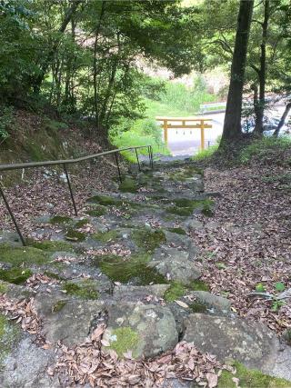 上﨑神社の参拝記録(さくらさん)