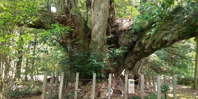 桑並地区総荒神(志多備神社敷地内)の写真1