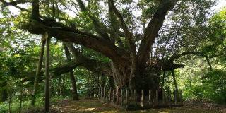 桑並地区総荒神(志多備神社敷地内)の参拝記録(はにほへとさん)