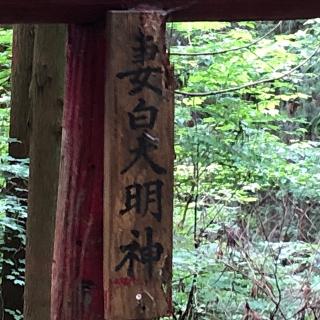 妻白大明神の参拝記録(ワヲンさん)