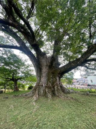 有無神社（蟻無神社）の参拝記録(mmかずやmmさん)