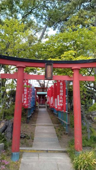 萬榮稲荷大明神（亀岡八幡宮境内社）の参拝記録(Daisy ♂さん)
