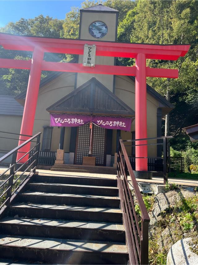 ぴんころ神社の参拝記録1