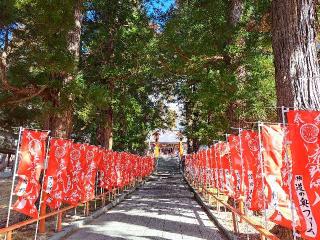 遠野郷八幡宮 猫神社の参拝記録(ちあきさん)